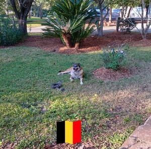 Meet your Posher, Otto